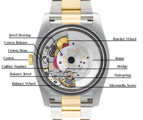 rolex watch movements diagram